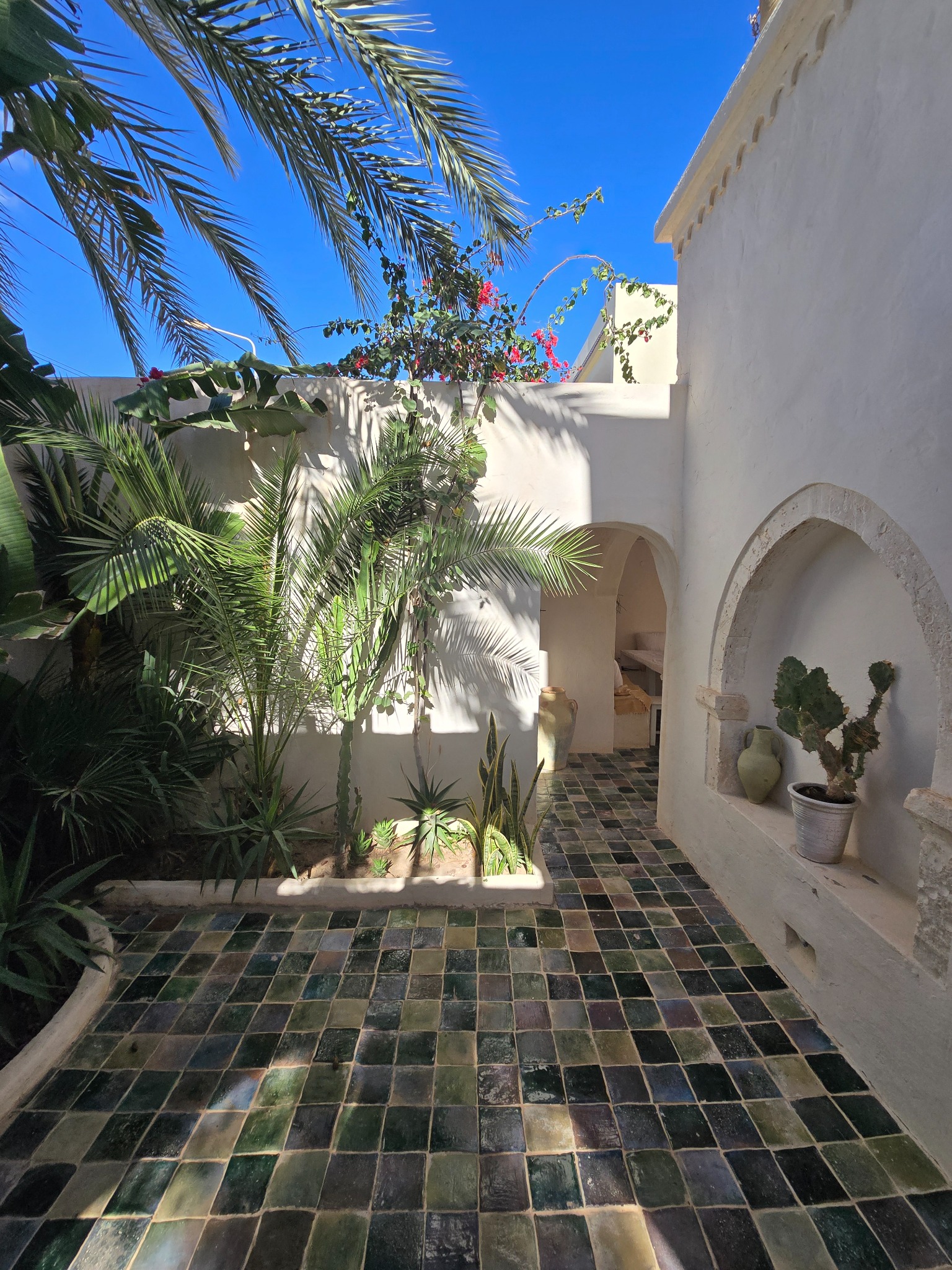 Patio avec plantes et zelliges