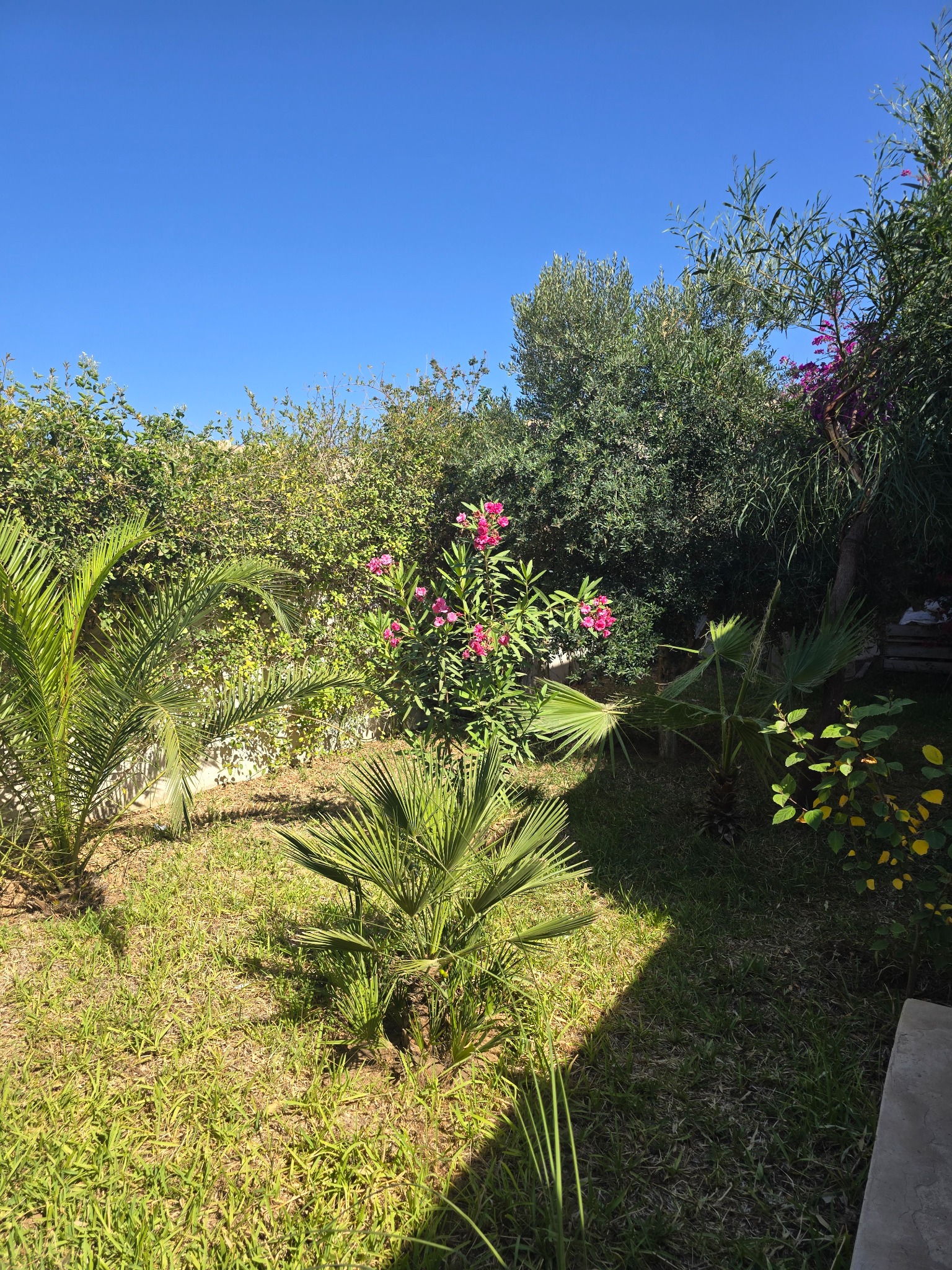 Jardin de Dar Daoud