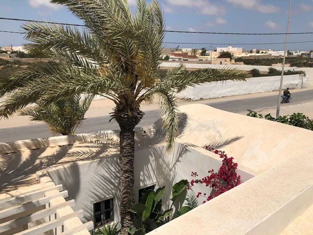 Vue rooftop avec palmier à Dar Daoud